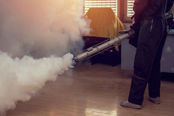 controle-pragas-inset-clean-indaiatuba