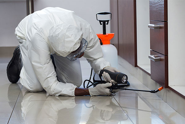 descupinizacao-inset-clean-indaiatuba-p