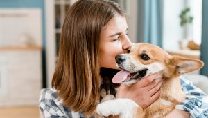 Donos de pet: saiba porque é importante cuidar do controle de pragas no ambiente onde seu amigo reside