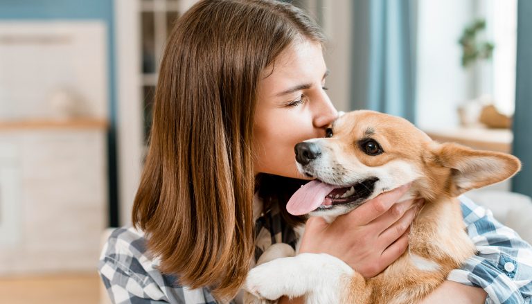 Donos de pet: saiba porque é importante cuidar do controle de pragas no ambiente onde seu amigo reside
