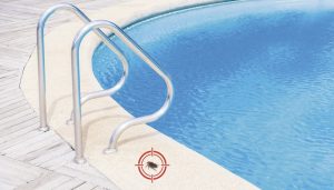 Pragas no Verão: cuidados para mantê-las fora de casa